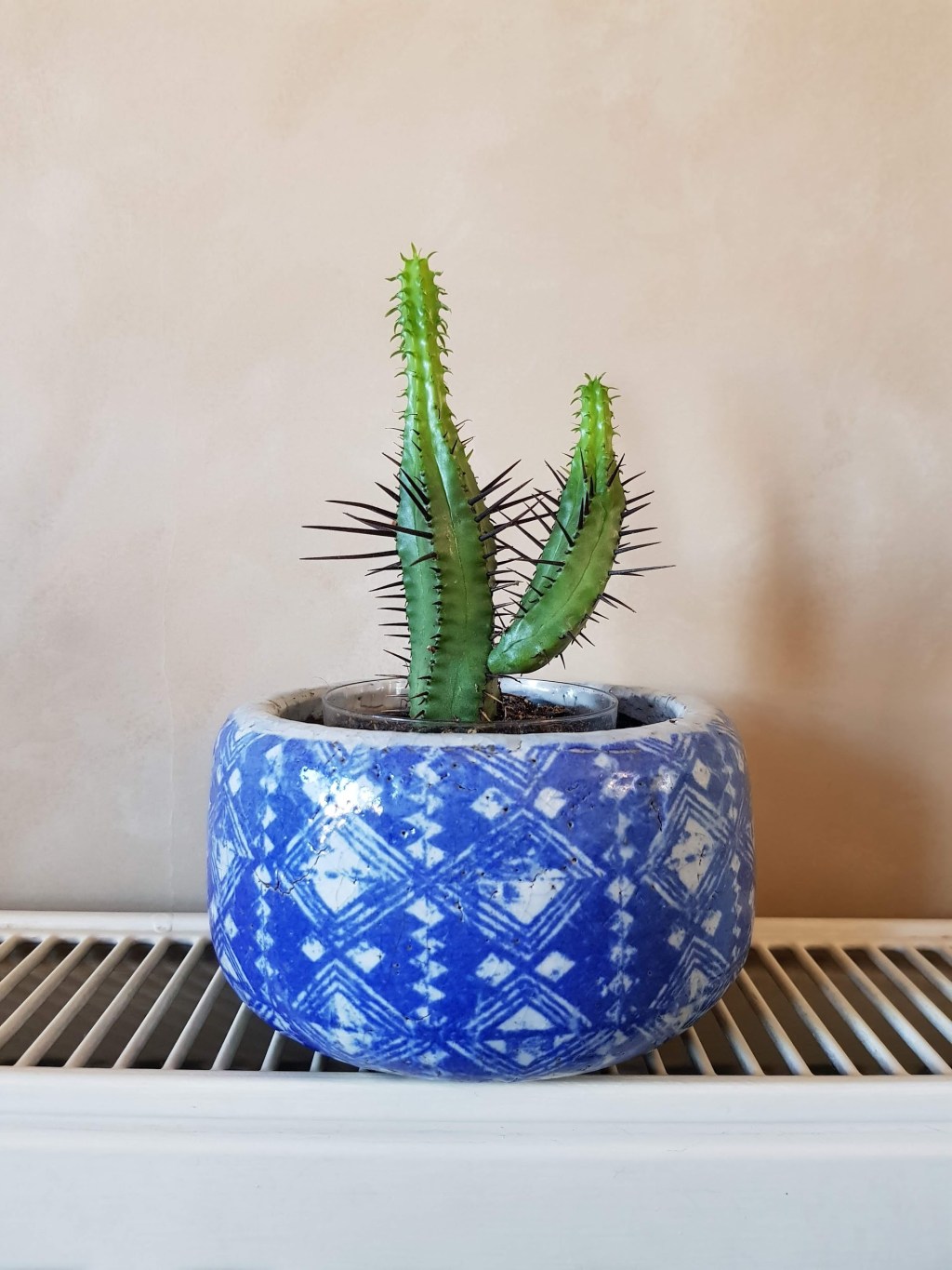 blue glazed terracotta plant flower pot Anthropologie