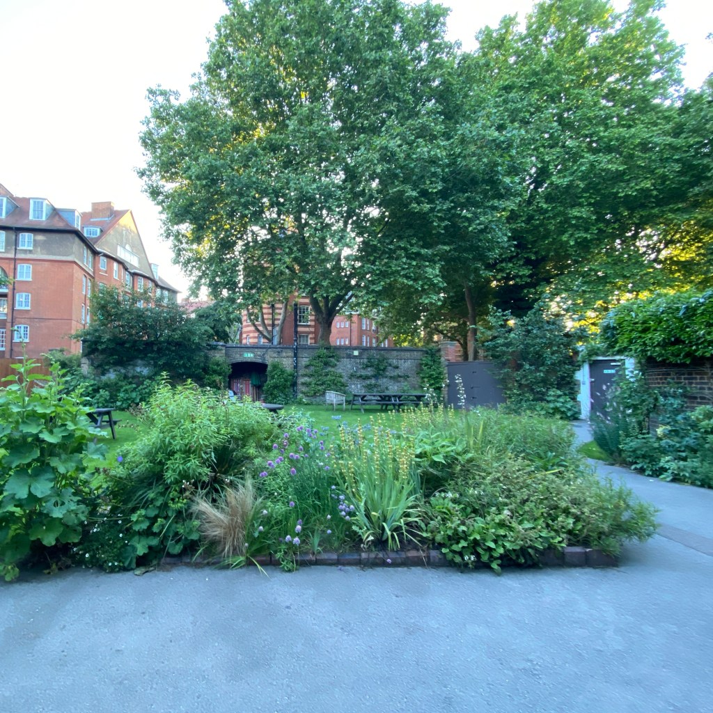 Rochelle Canteen dog friendly casual no fuss diner relaxed restaurant shoreditch east london cool hip rustic alfresco garden european unique creative fresh ingredients trendy french wine