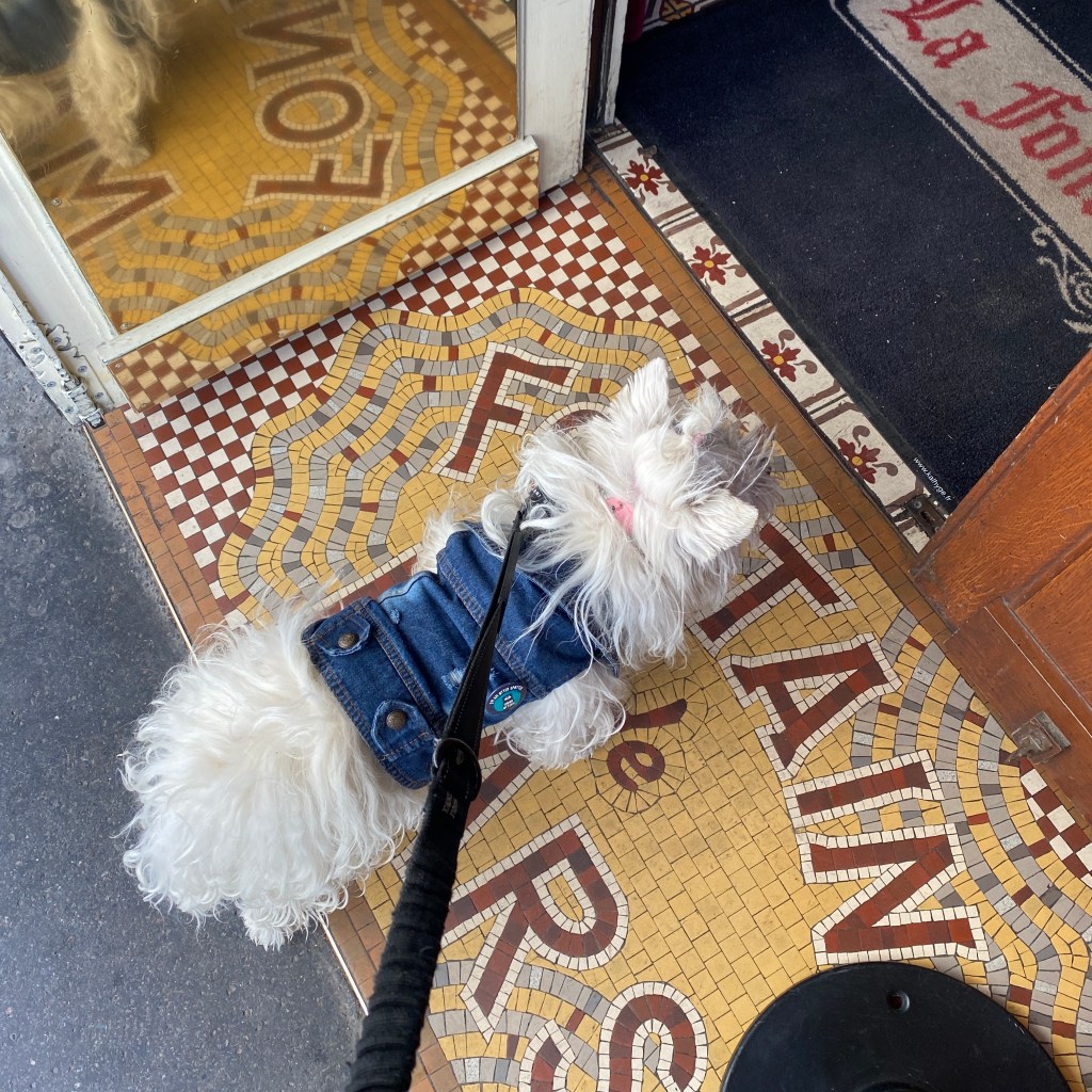 La Fontaine de Mars French Bistro Paris Eiffel Tower Typical Alfresco Outside Dog Friendly Traditional Regional Dishes Faux Fillet Foie Gras Duck Confit