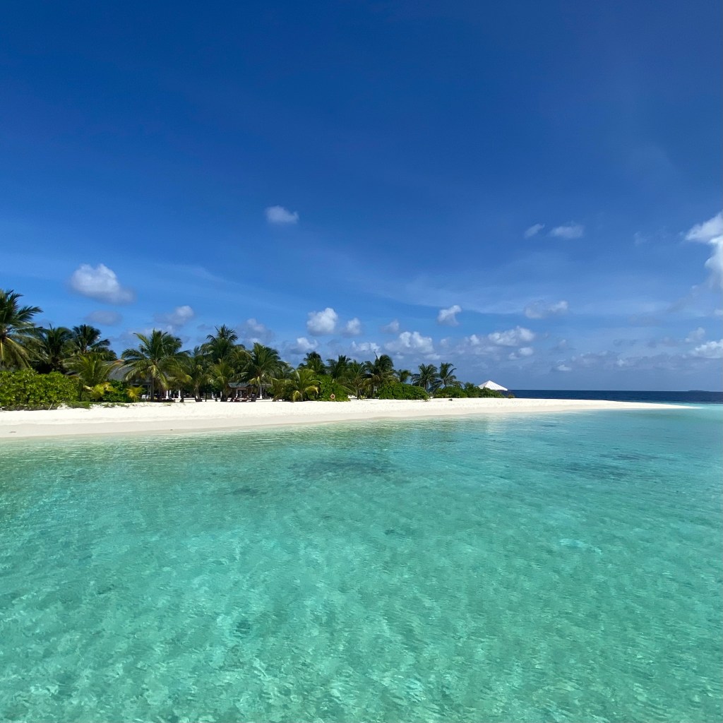 Maldives Amari Havodda Hotel Paradise Luxury All Inclusive Meal Drinks Family Snorkelling Nemo Sun Relax Pampering Great Good Value Friendly Spacious Buffet Sand Beach Shark Unwind Spa Massage Facial Overwater Villa Private Privacy Secluded Island