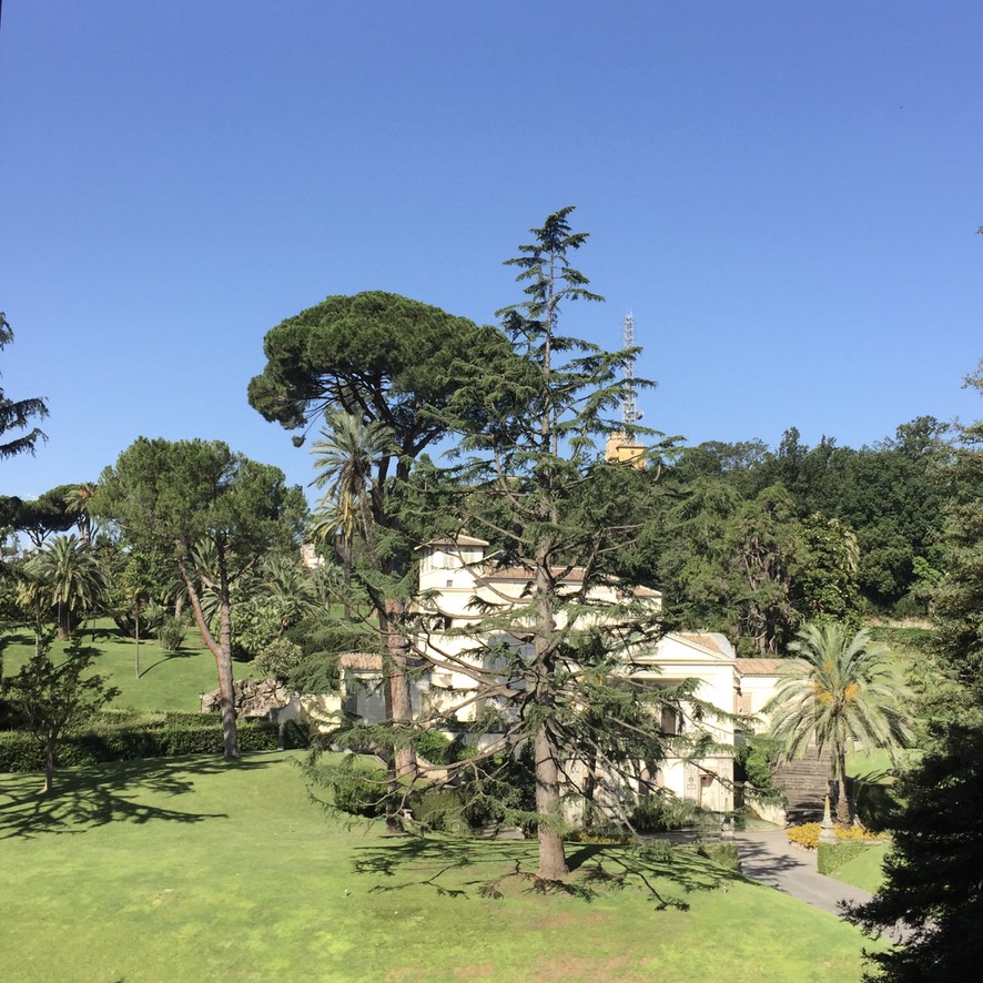 Rome Travel Itinerary Travel Tips Vatican Gardens