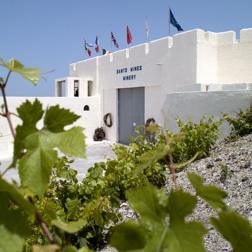 Perfect Holiday Santorini Itinerary Travel Tips Santo Wines