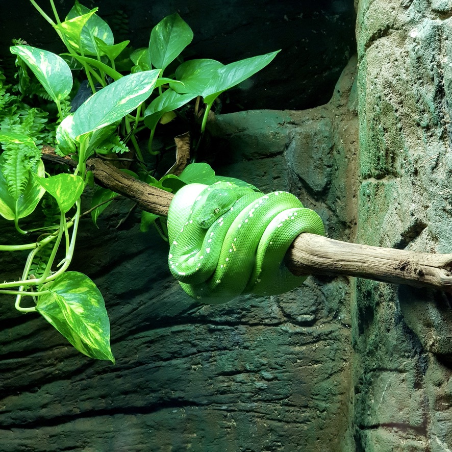 Cotswold Wildlife Park and Gardens Day Out Animals Farm Family Kids Dog Friendly Picnic