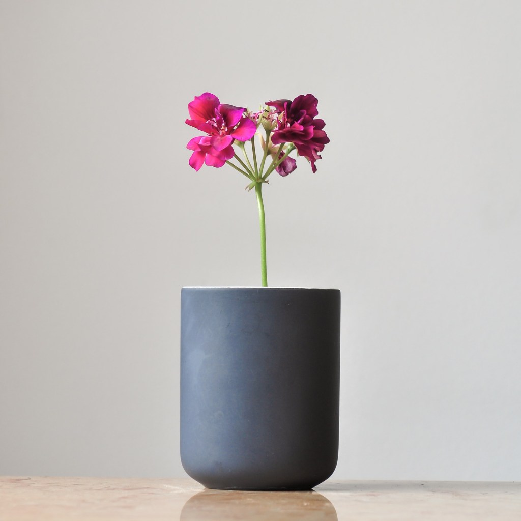 Twostomachs Lifestyle Stomach Travel Stuff Review