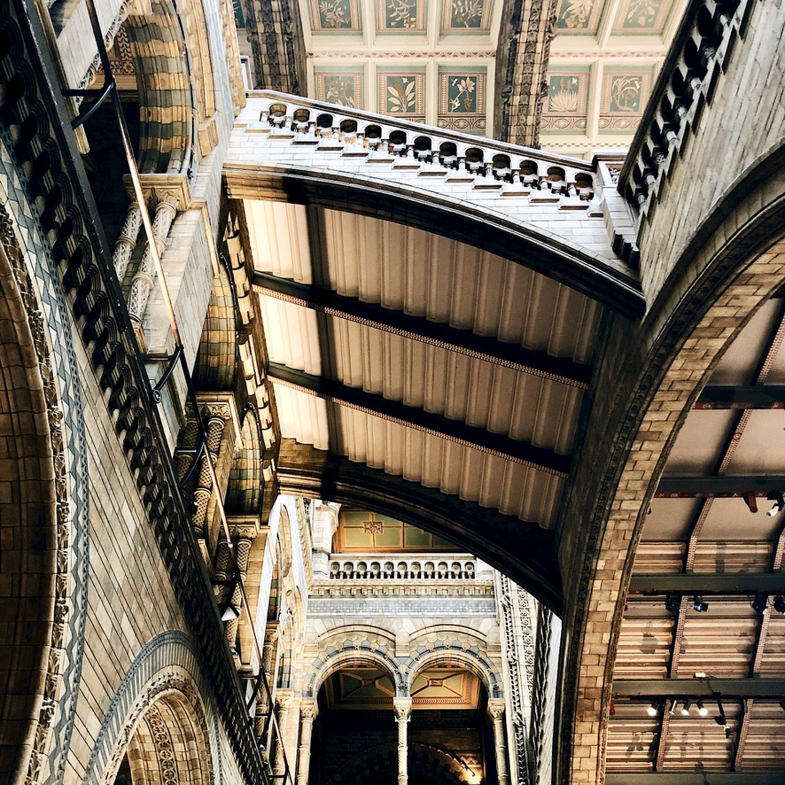 London Day Out Natural History Museum Interior Architecture Itinerary