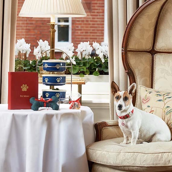 Dog friendly Egerton House