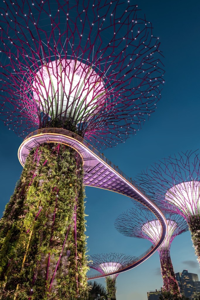 Holiday Singapore Itinerary Travel Tips Gardens by the Bay Supertrees