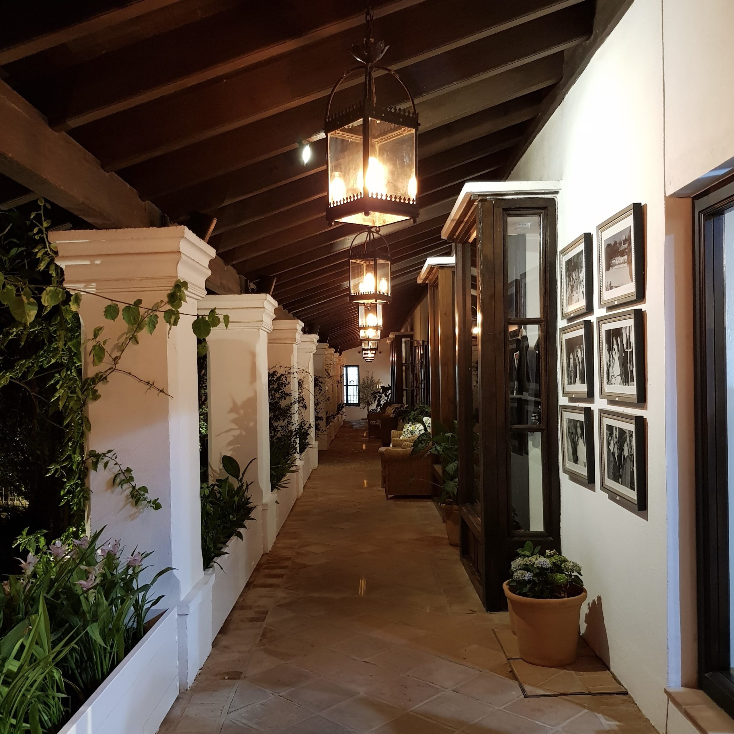 Marbella Club Timeless Charming Luxury Family Beach Front Hotel Wellness Mindfulness Yoga Pilates Meditation Grill Best Beef Steak Deck Chairs Swimming Pool Suite Lush Garden Kids Club Alfresco Dining Cocktail Summer