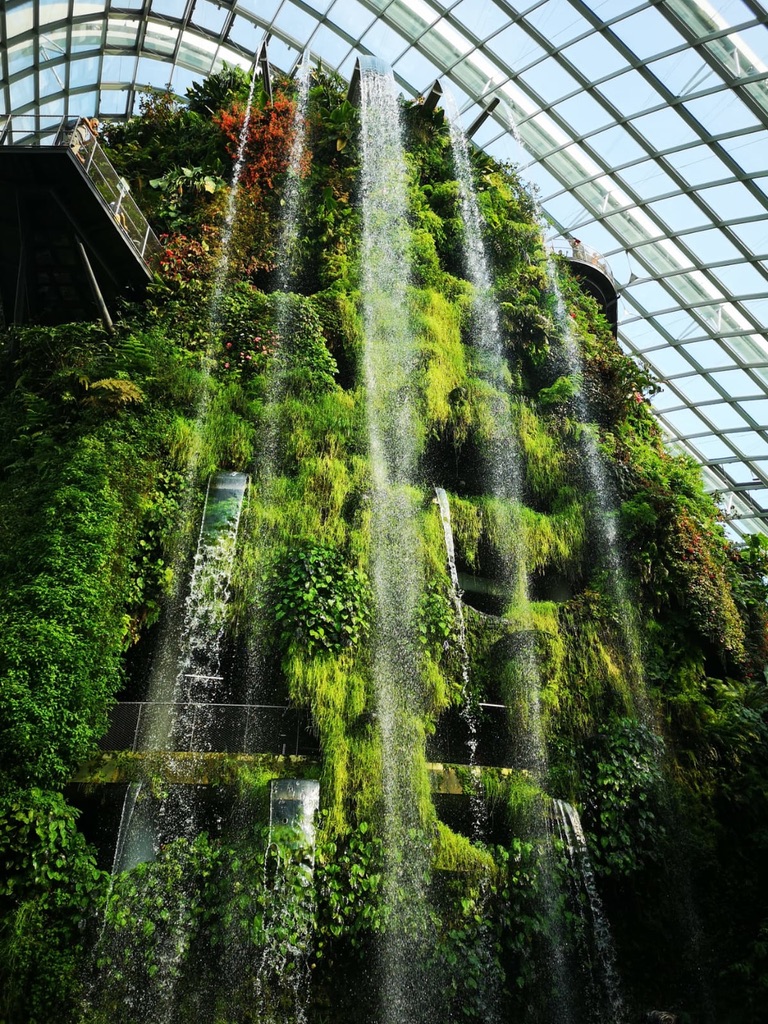 Holiday Singapore Itinerary Travel Tips Gardens by the Bay Cloud Forest Waterfall