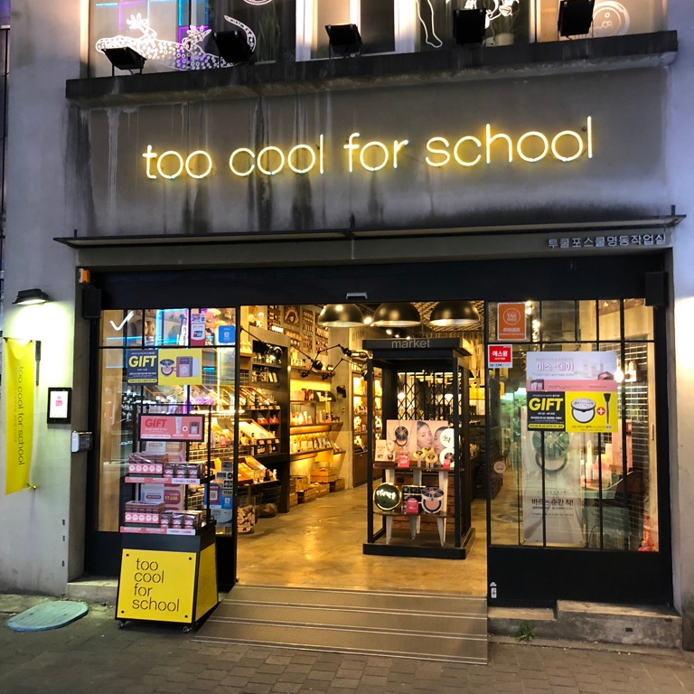 Seoul Itinerary Travel Tips Too Cool for School