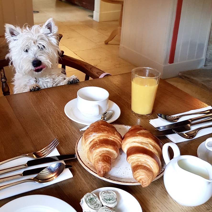 The Slaughters Country Inn Authentic Village Charm Hotel Cotswold Lower Slaughter