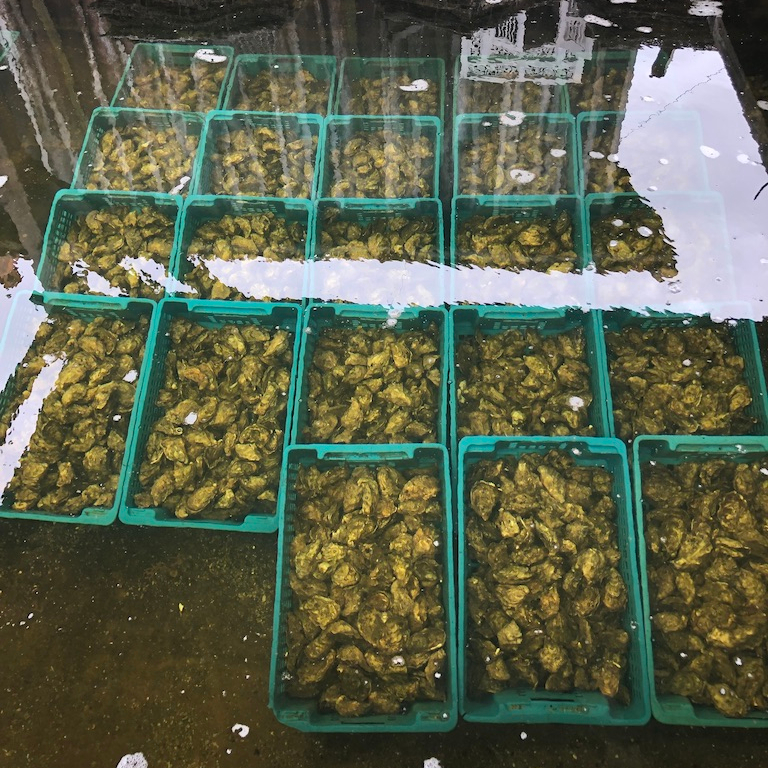 North France Driving Itinerary Travel Tips La 12Zen Oysters