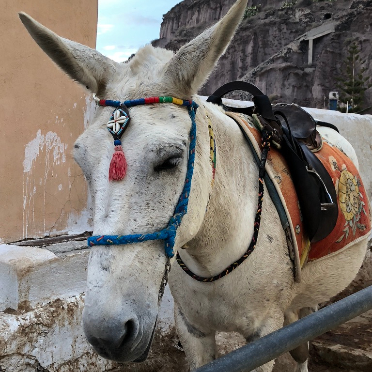 Off Peak Holiday Santorini Itinerary Travel Tips Fira Old Port Donkey Ride