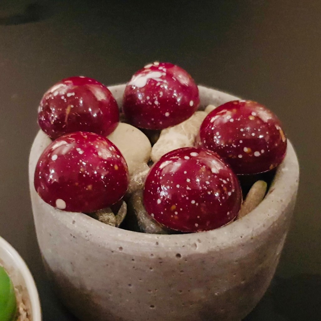 Restaurant Glacier Boutique Hotel Tasting Menu Grindelwald Artistic Locally Sourced Sustainable Ingredients Robert Steuri Service Relaxed Romantic Enjoyable