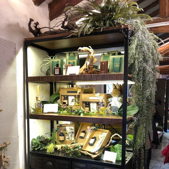 Seoul Itinerary Travel Tips