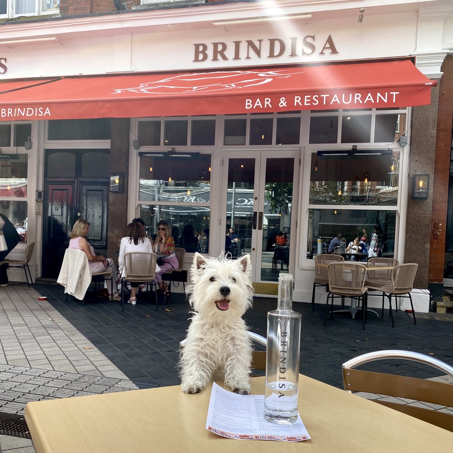 Tapas Brindisa Spanish Restaurant South Kensington Dog Friendly Al Fresco Review