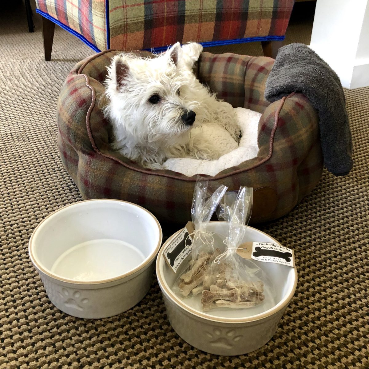 Great Fosters – Family & Dog Friendly Spacious Super King Suite