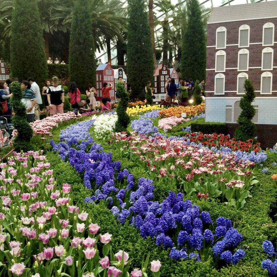 Holiday Singapore Itinerary Travel Tips Gardens By the Bay Flower Dome