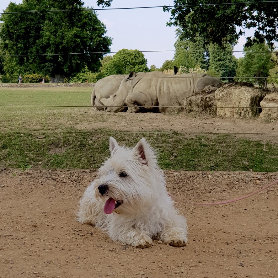 Cotswold Wildlife Park and Gardens Day Out Animals Farm Family Kids Dog Friendly Picnic