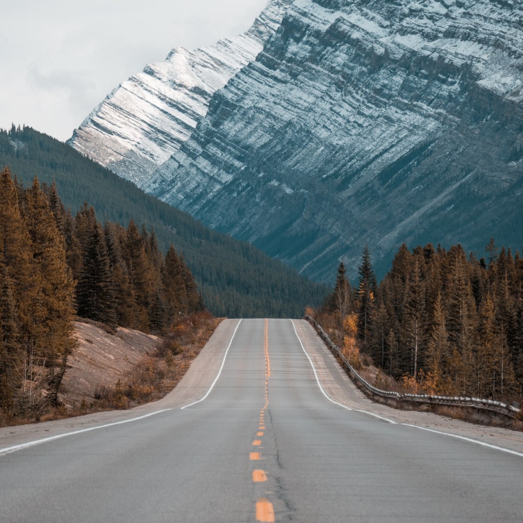 Essential Packing for Road Trip with Kids